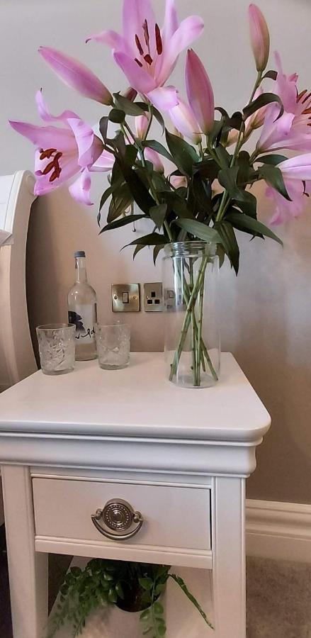 The Canalside B&B At The Auld Shebeen Bar Athy Buitenkant foto